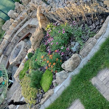 Villa Garden Bešeňová 外观 照片