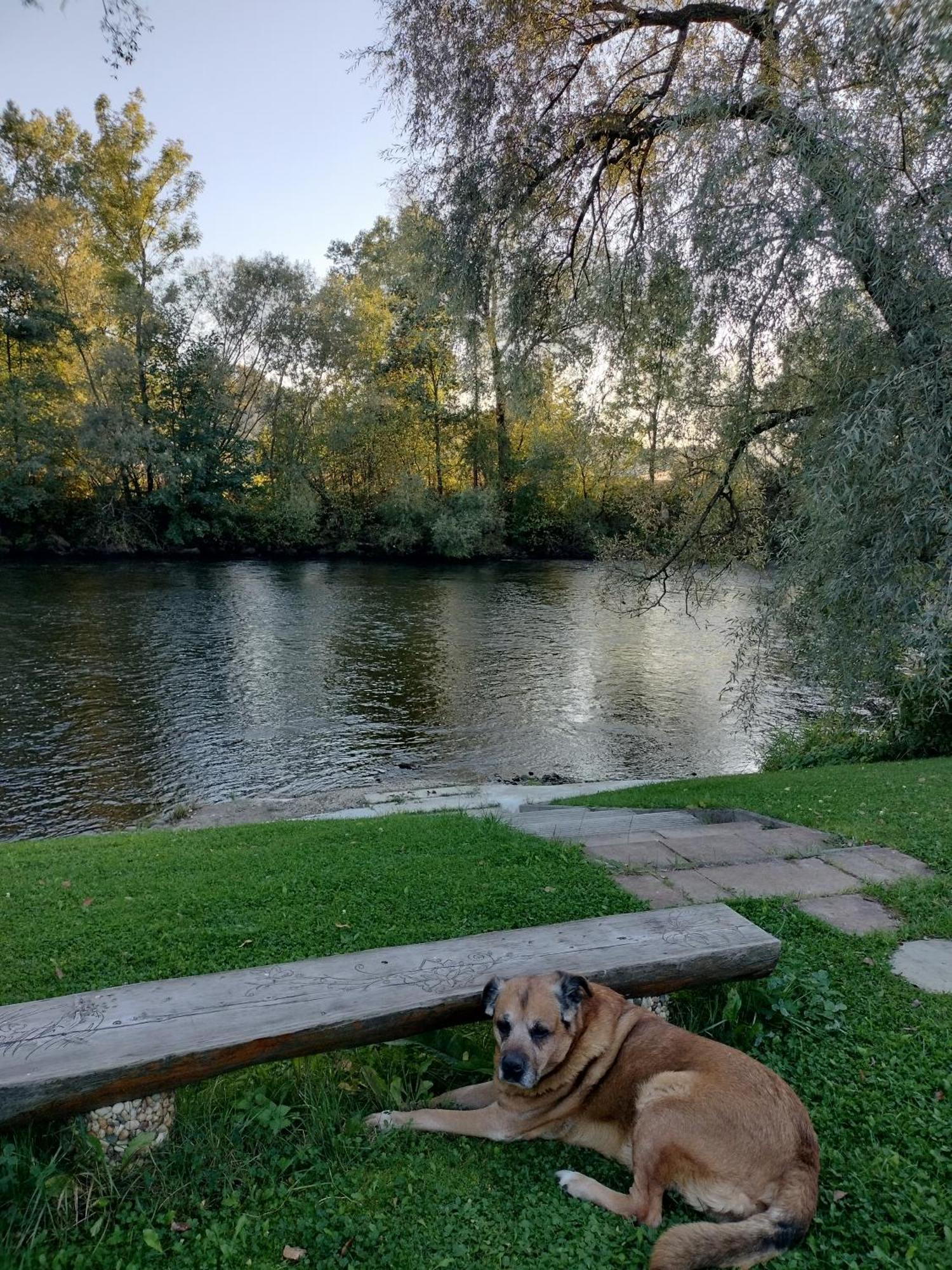 Villa Garden Bešeňová 外观 照片